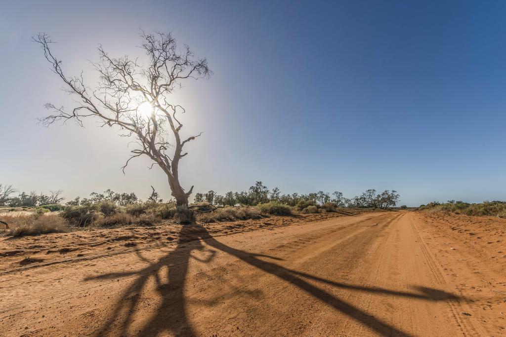 فيلا Mungo Shearers' Quarters المظهر الخارجي الصورة